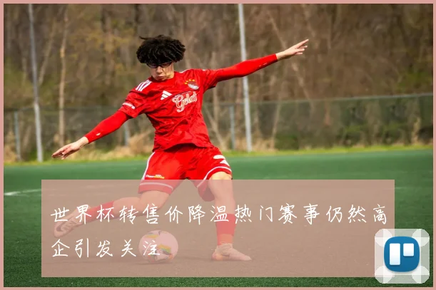 世界杯转售价降温热门赛事仍然高企引发关注